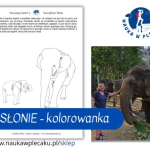 Kolorowanka edukacyjna - Słonie