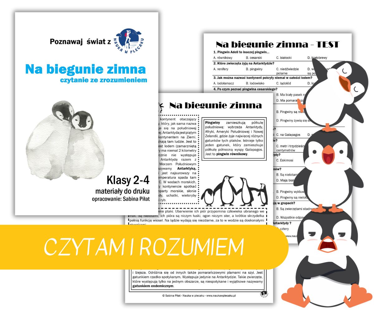 Na biegunie zimna - czytanie ze zrozumieniem
