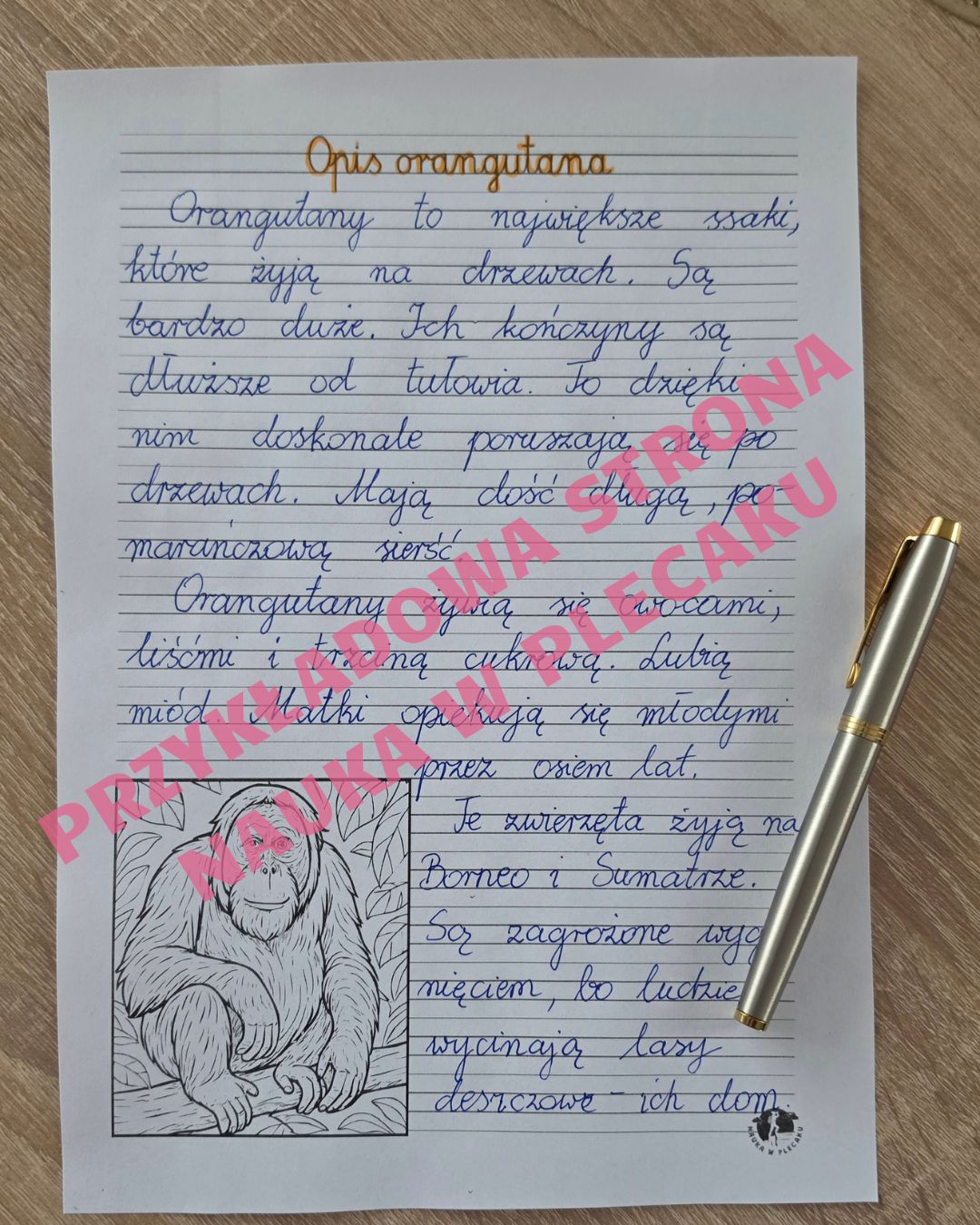 orangutan opis