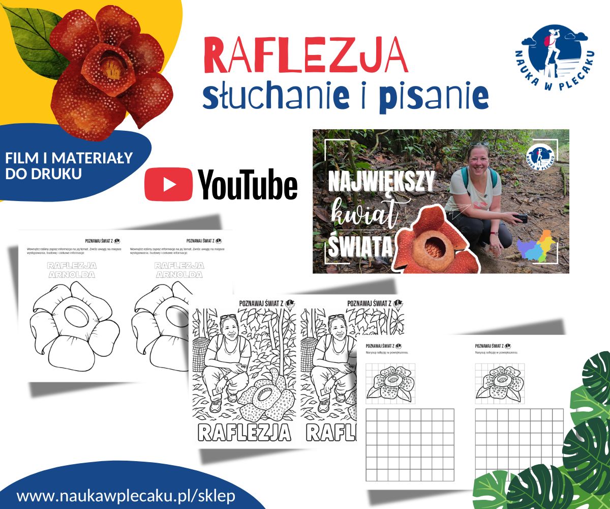 Borneo - ćwiczenia w słuchaniu i pisaniu
